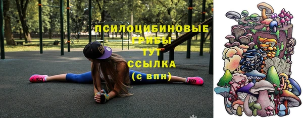 а пвп мука Белокуриха