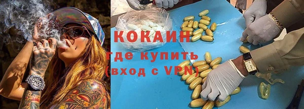 шишки Белоозёрский