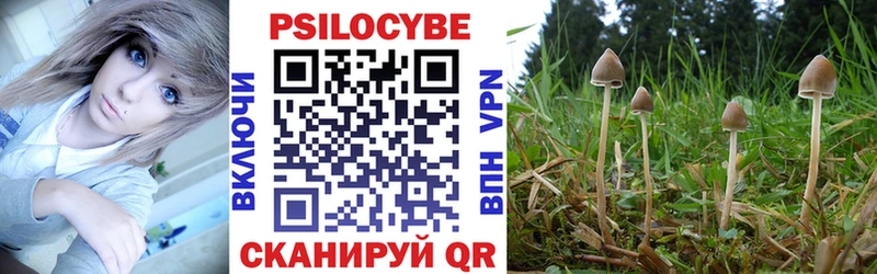 Купить закладки  Дюртюли  Псилоцибиновые грибы мухоморы 